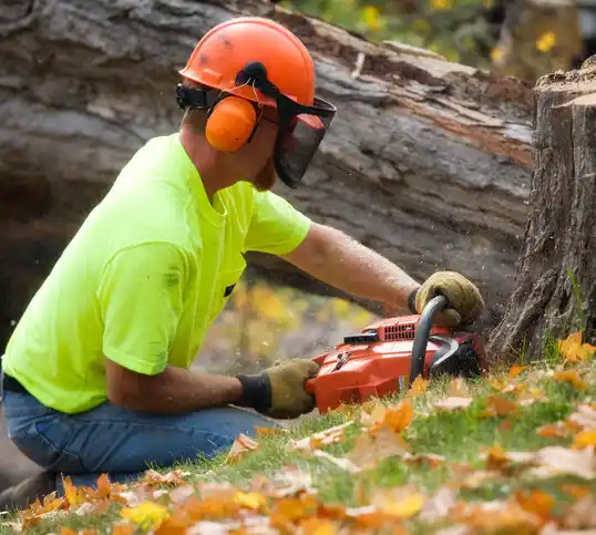 tree services Roseville